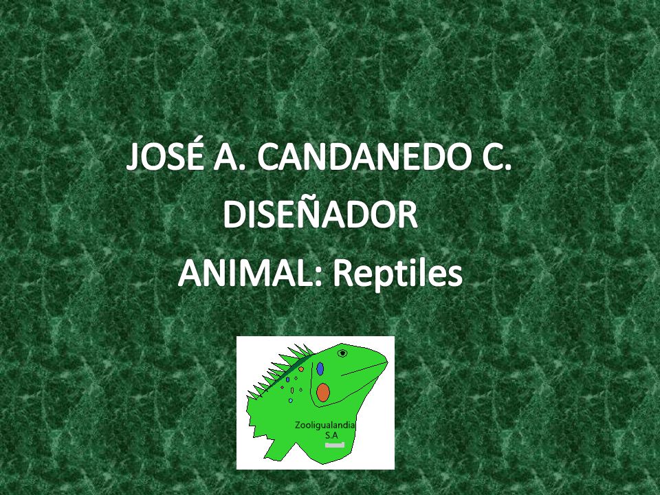 JOSÉ A. CANDANEDO C. DISEÑADOR ANIMAL: Reptiles