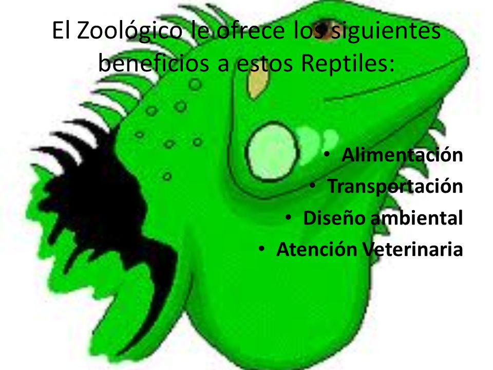 El Zoológico le ofrece los siguientes beneficios a estos Reptiles: