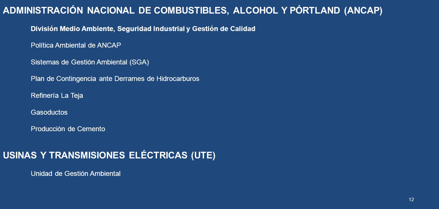 ADMINISTRACIÓN NACIONAL DE COMBUSTIBLES, ALCOHOL Y PÓRTLAND (ANCAP)