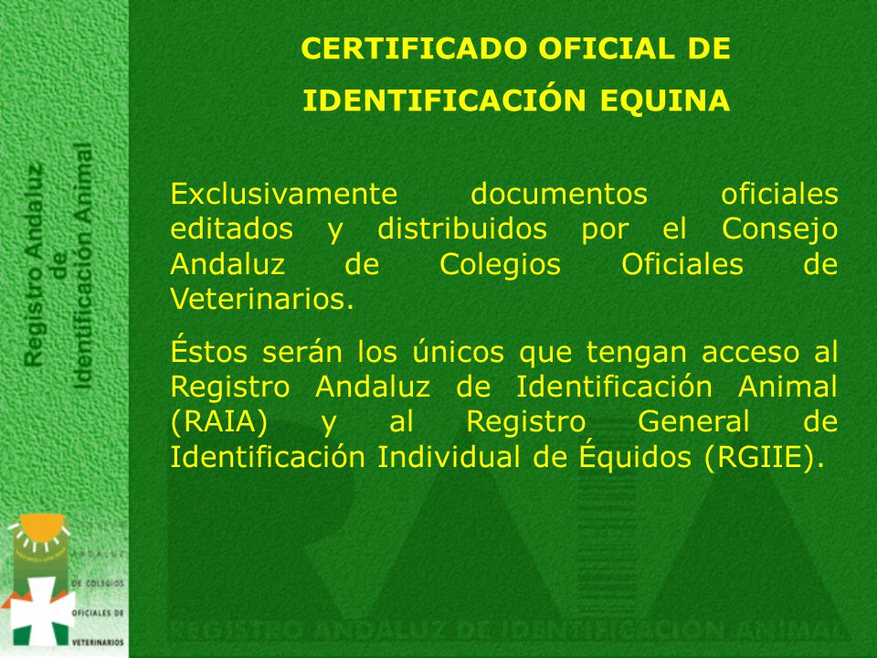 CERTIFICADO OFICIAL DE IDENTIFICACIÓN EQUINA