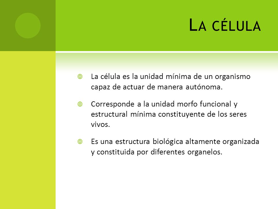 La célula La célula es la unidad mínima de un organismo capaz de actuar de manera autónoma.