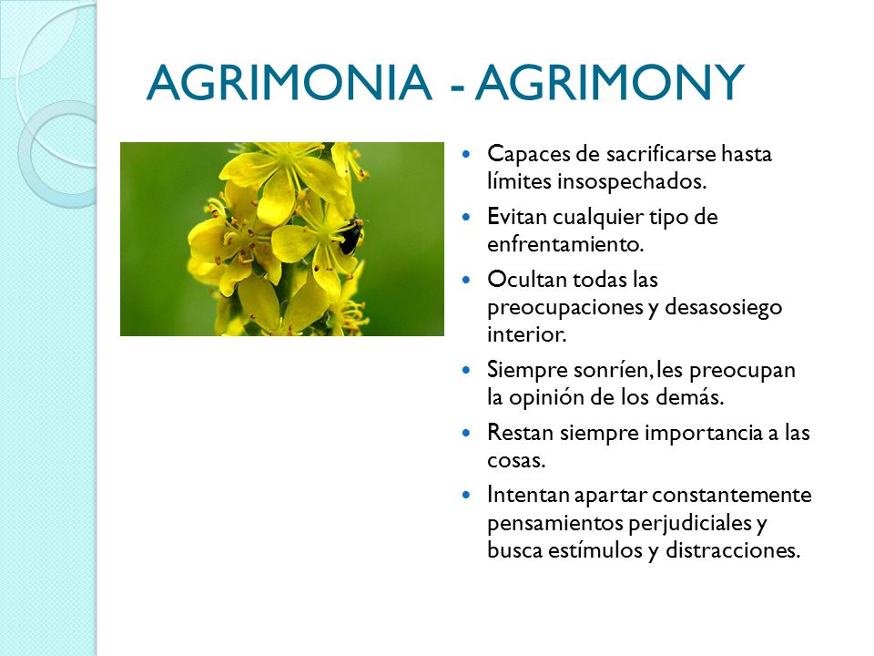 AGRIMONIA - AGRIMONY Capaces de sacrificarse hasta límites insospechados. Evitan cualquier tipo de enfrentamiento.