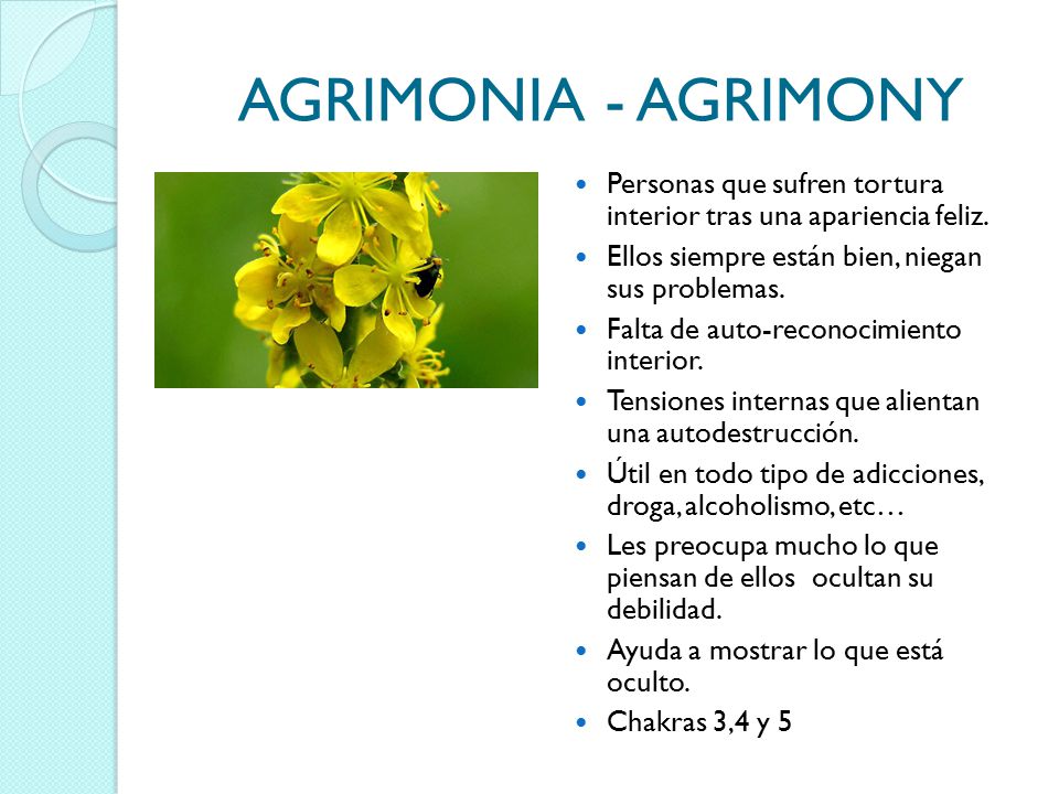 AGRIMONIA - AGRIMONY Personas que sufren tortura interior tras una apariencia feliz. Ellos siempre están bien, niegan sus problemas.