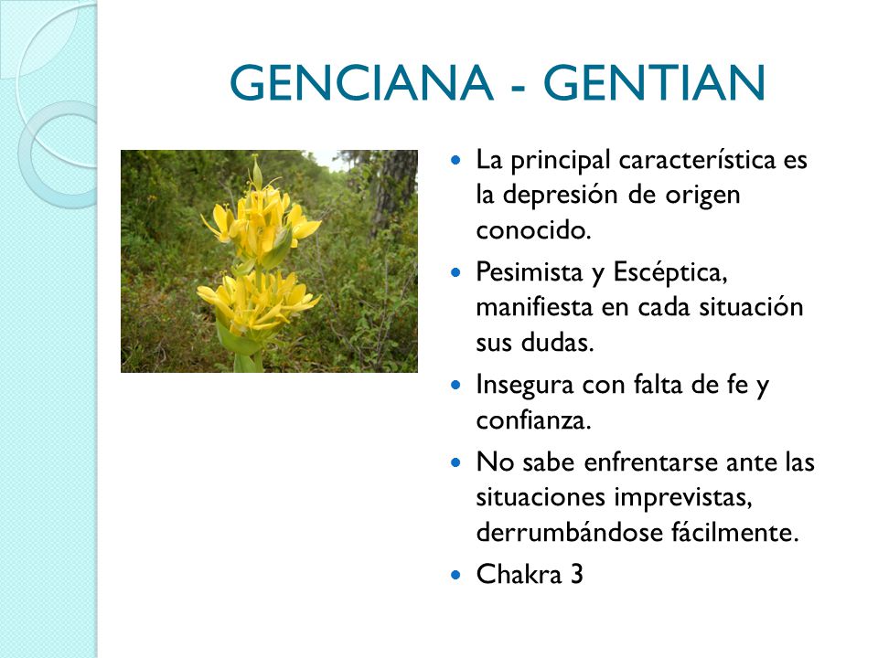 GENCIANA - GENTIAN La principal característica es la depresión de origen conocido.