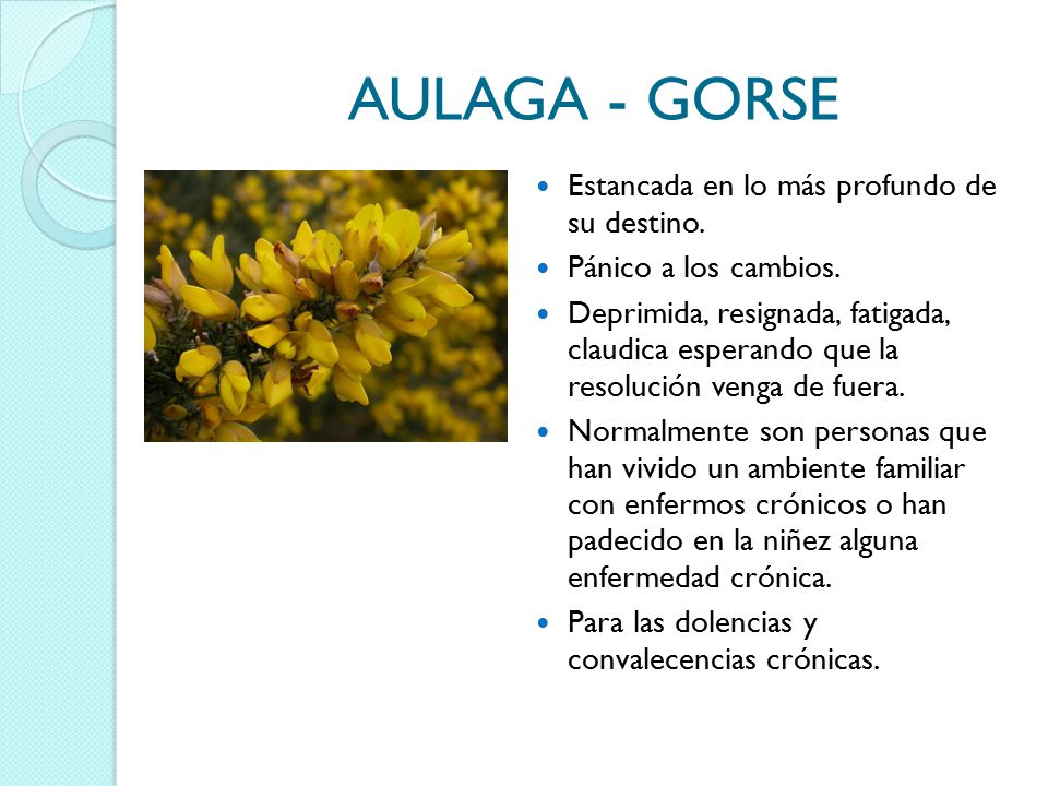 AULAGA - GORSE Estancada en lo más profundo de su destino.