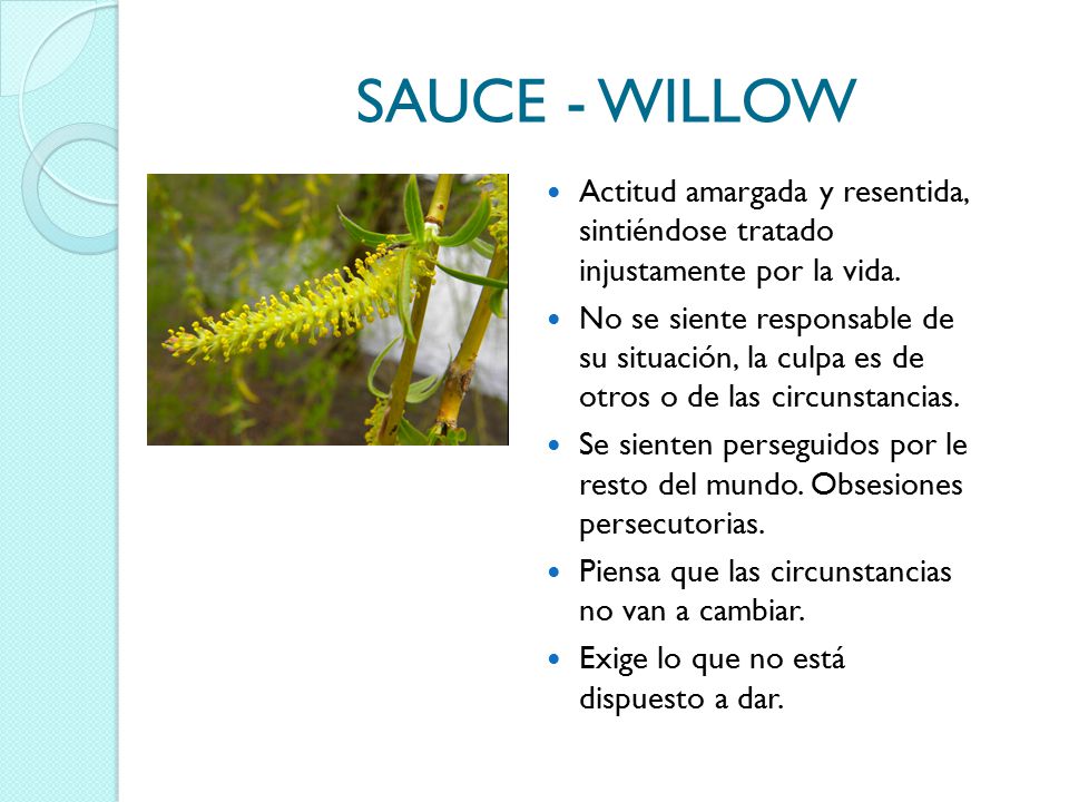 SAUCE - WILLOW Actitud amargada y resentida, sintiéndose tratado injustamente por la vida.