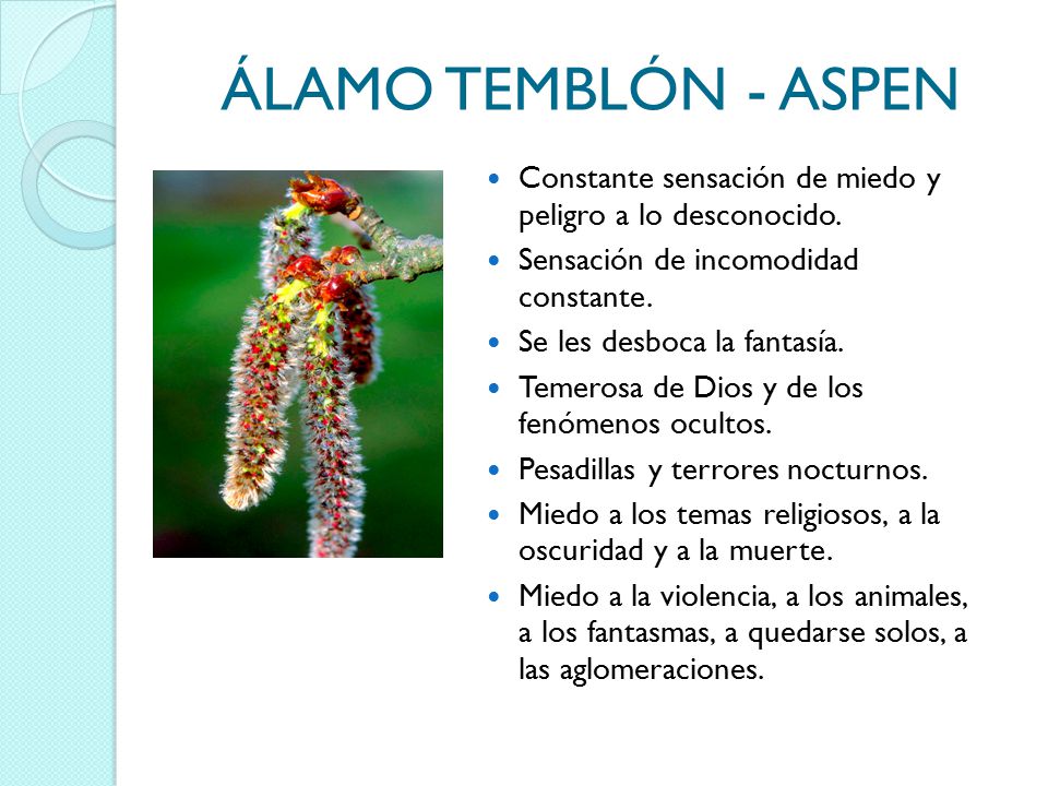 ÁLAMO TEMBLÓN - ASPEN Constante sensación de miedo y peligro a lo desconocido. Sensación de incomodidad constante.