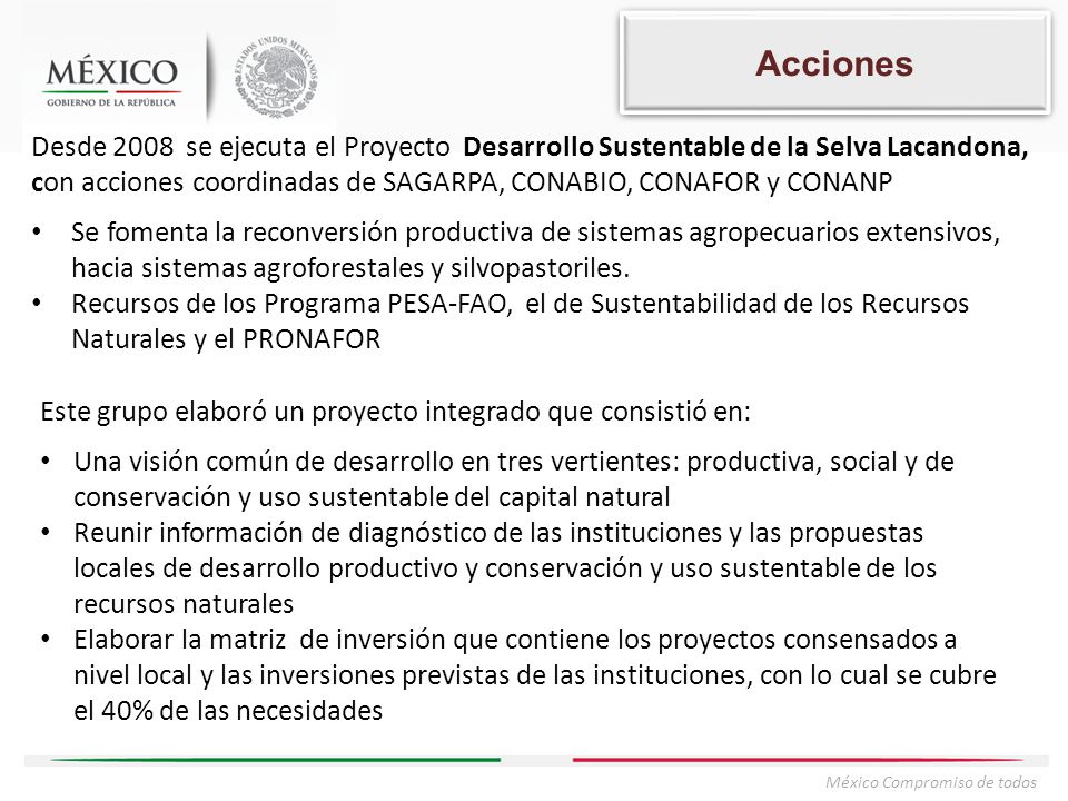 Acciones