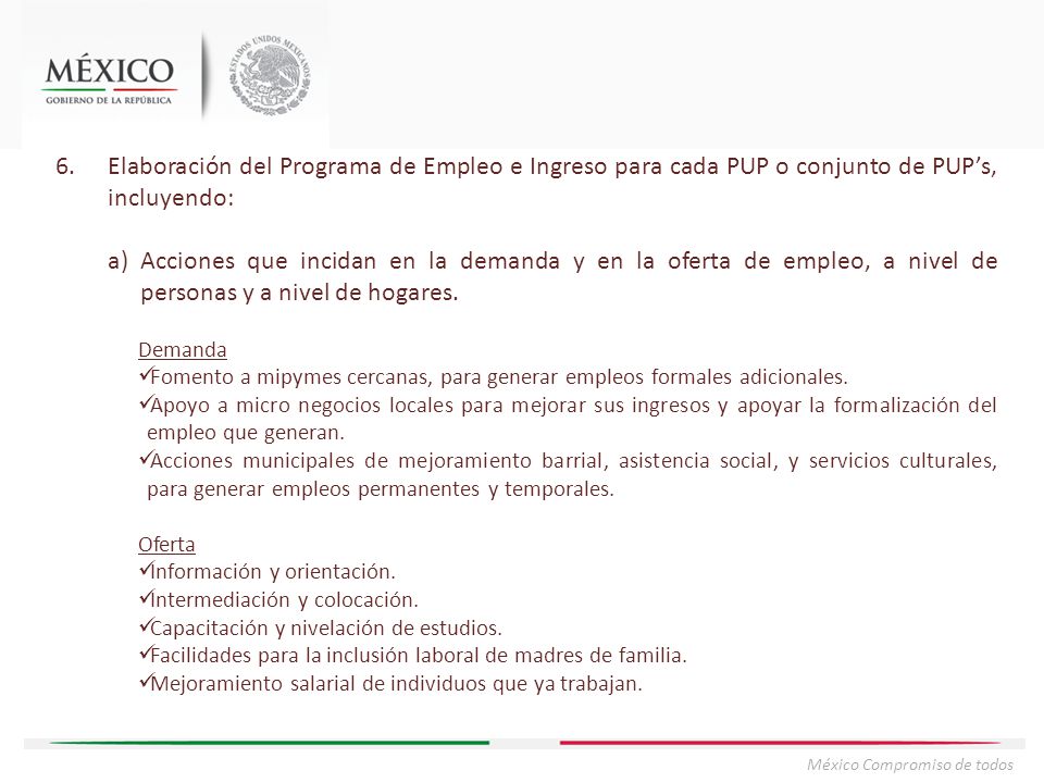 Elaboración del Programa de Empleo e Ingreso para cada PUP o conjunto de PUP’s, incluyendo: