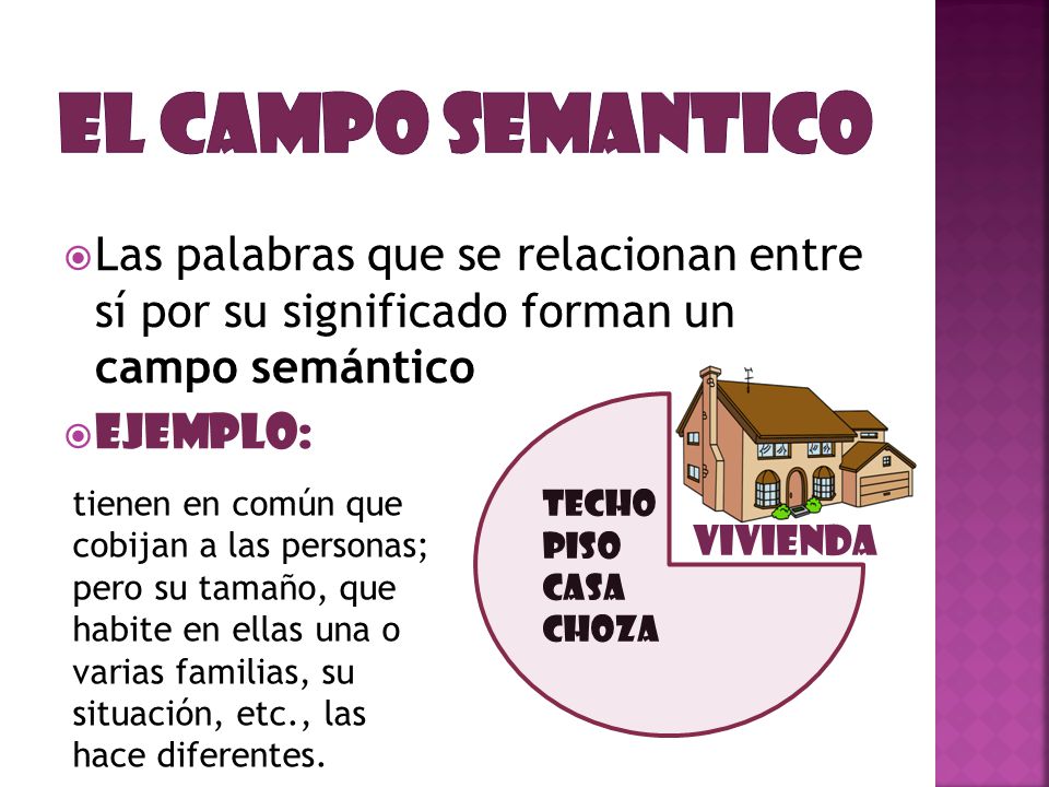 El campo semantico Las palabras que se relacionan entre sí por su significado forman un campo semántico.