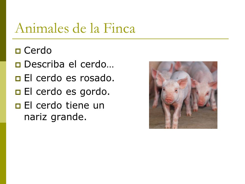 Animales de la Finca Cerdo Describa el cerdo… El cerdo es rosado.