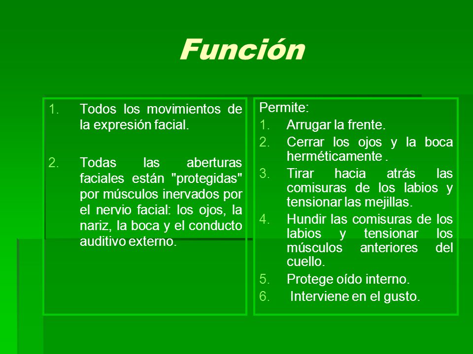 Función Todos los movimientos de la expresión facial.