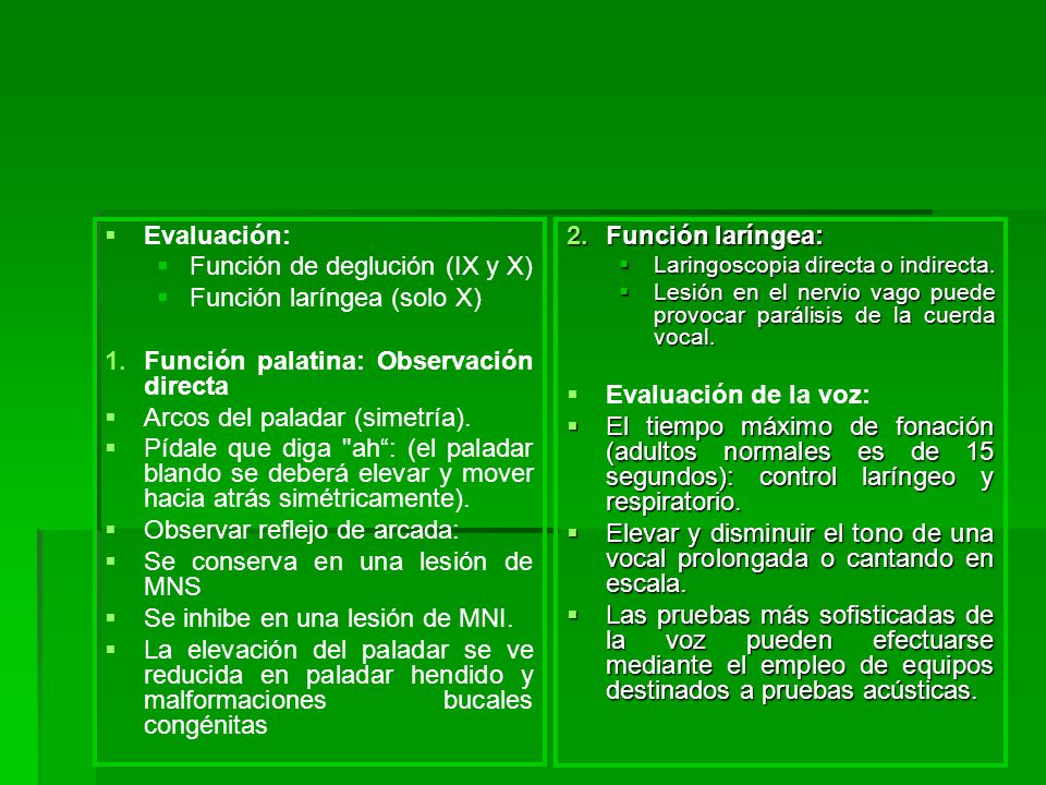 Función de deglución (IX y X) Función laríngea (solo X)