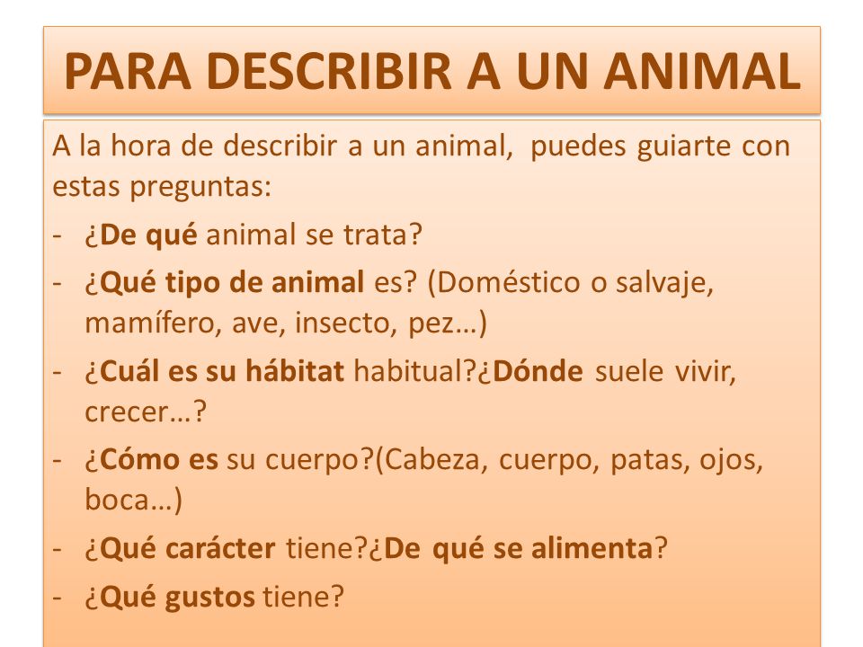 PARA DESCRIBIR A UN ANIMAL