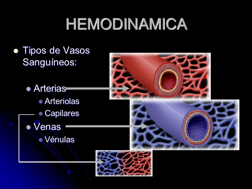 HEMODINAMICA Tipos de Vasos Sanguíneos: Arterias Venas Arteriolas