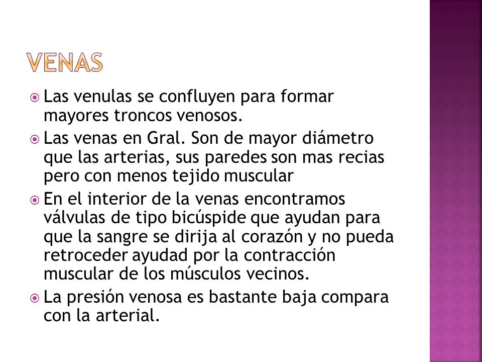 venas Las venulas se confluyen para formar mayores troncos venosos.