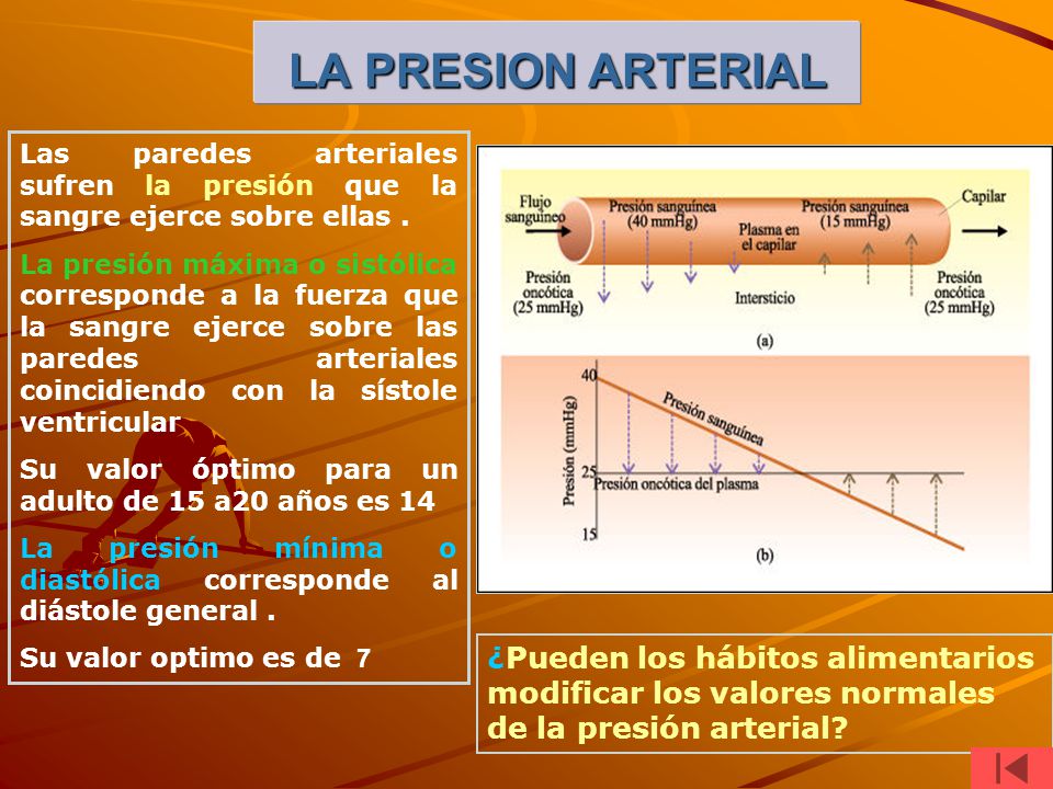 LA PRESION ARTERIAL Las paredes arteriales sufren la presión que la sangre ejerce sobre ellas .