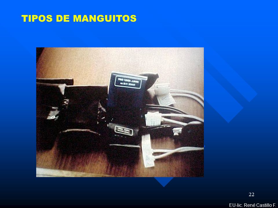 TIPOS DE MANGUITOS EU-lic. René Castillo F.