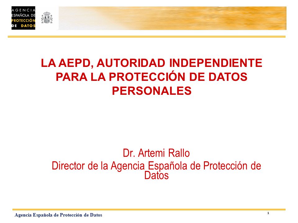 Director de la Agencia Española de Protección de Datos