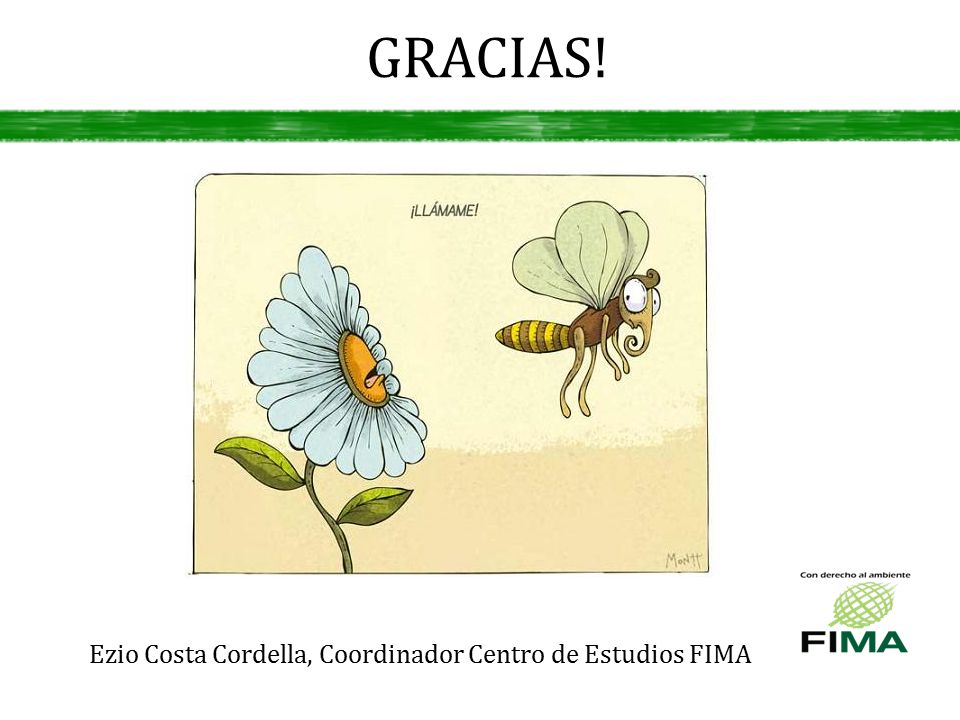GRACIAS! Ezio Costa Cordella, Coordinador Centro de Estudios FIMA