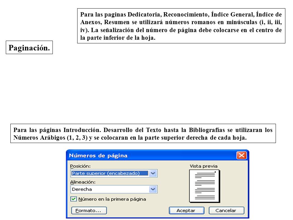 Para las paginas Dedicatoria, Reconocimiento, Índice General, Índice de Anexos, Resumen se utilizará números romanos en minúsculas (i, ii, iii, iv). La señalización del número de página debe colocarse en el centro de la parte inferior de la hoja.