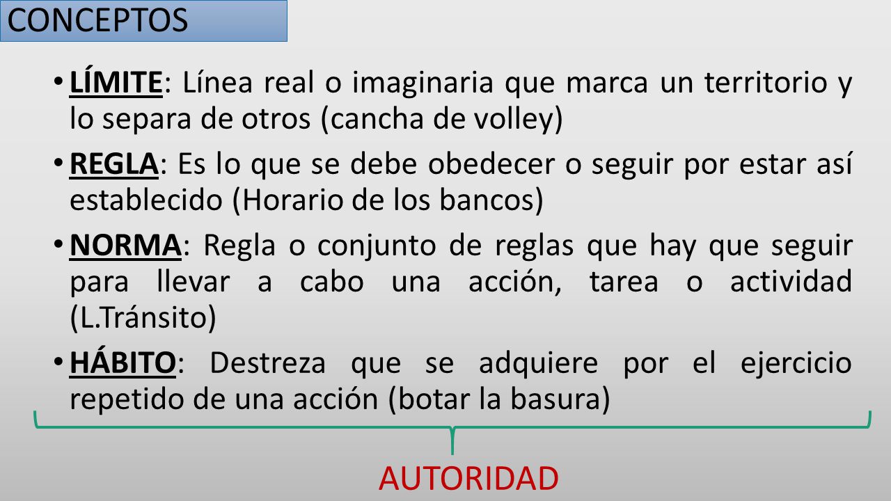 CONCEPTOS LÍMITE: Línea real o imaginaria que marca un territorio y lo separa de otros (cancha de volley)