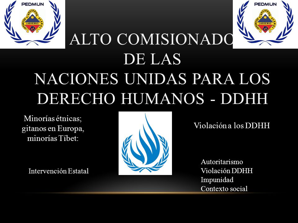 Alto comisionado de las naciones unidas para los derecho humanos - DDHH