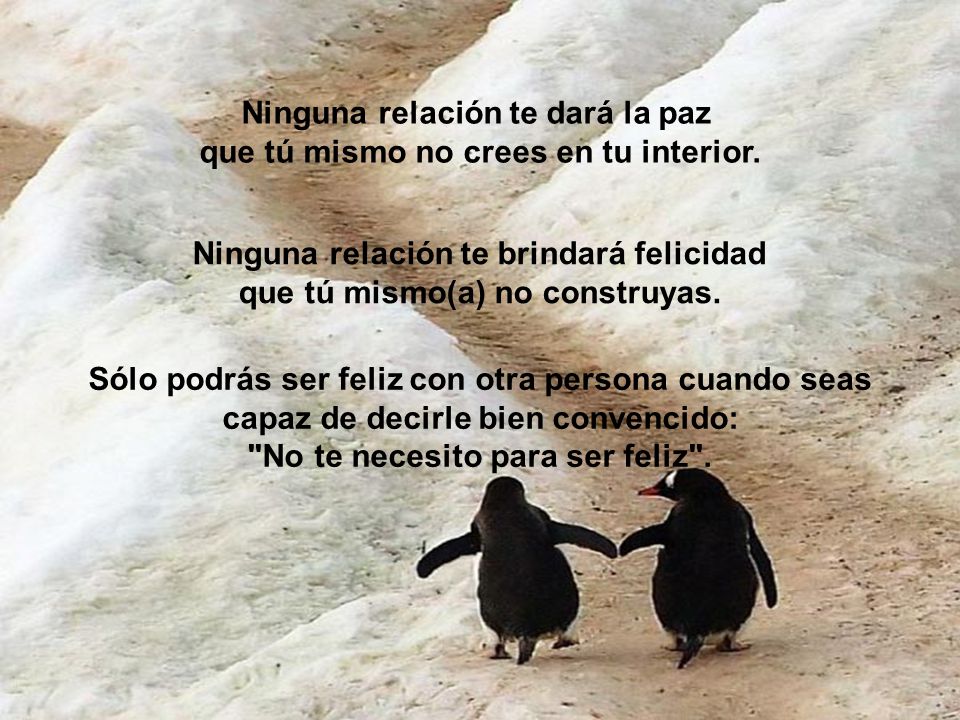 Ninguna relación te dará la paz Ninguna relación te brindará felicidad