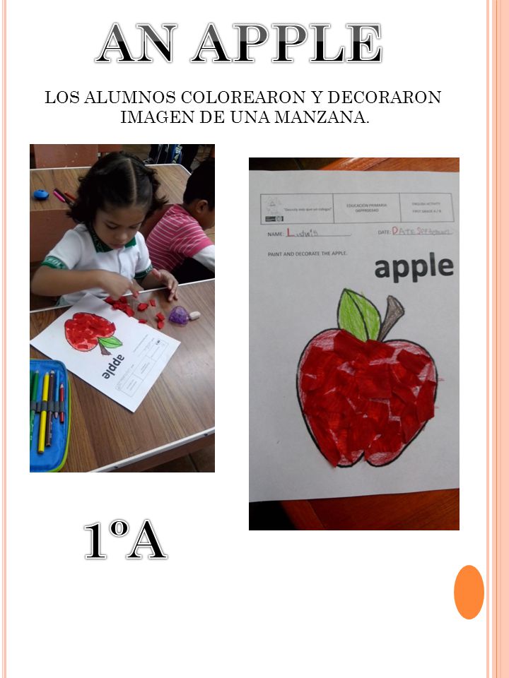 LOS ALUMNOS COLOREARON Y DECORARON