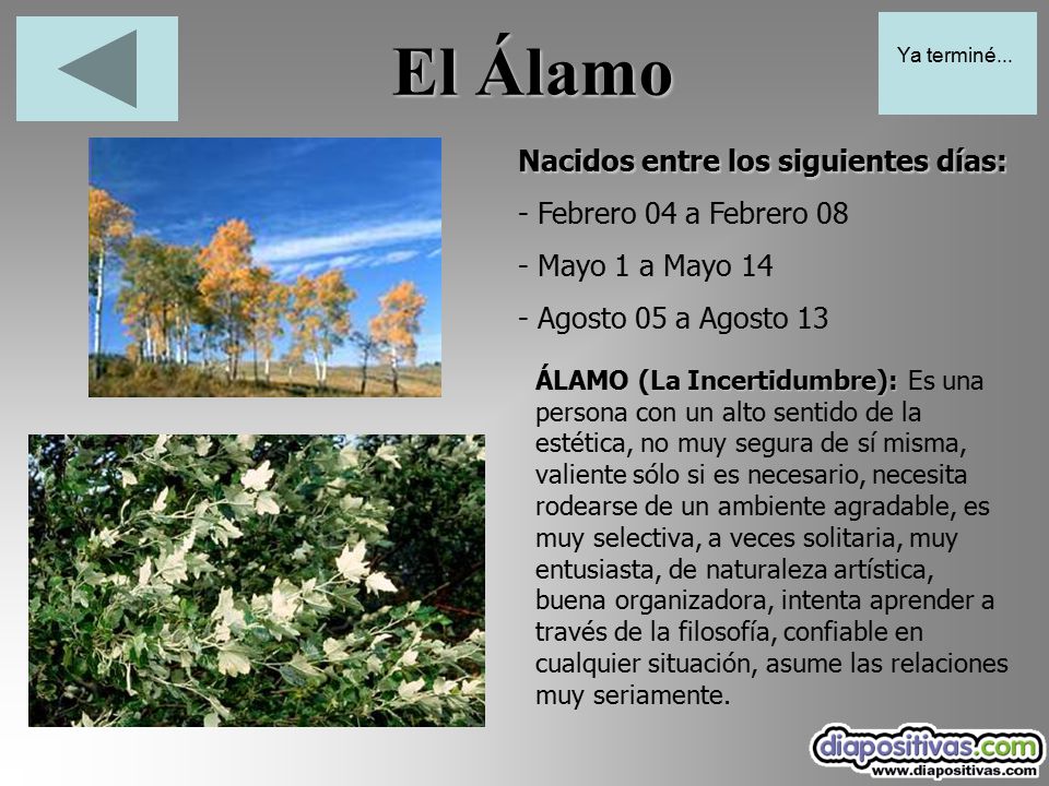El Álamo Nacidos entre los siguientes días: - Febrero 04 a Febrero 08