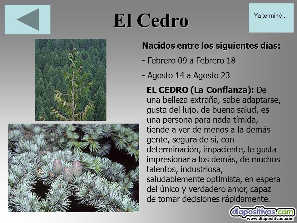 El Cedro Nacidos entre los siguientes días: - Febrero 09 a Febrero 18