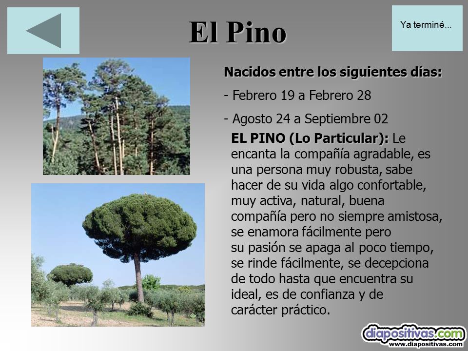 El Pino Nacidos entre los siguientes días: - Febrero 19 a Febrero 28
