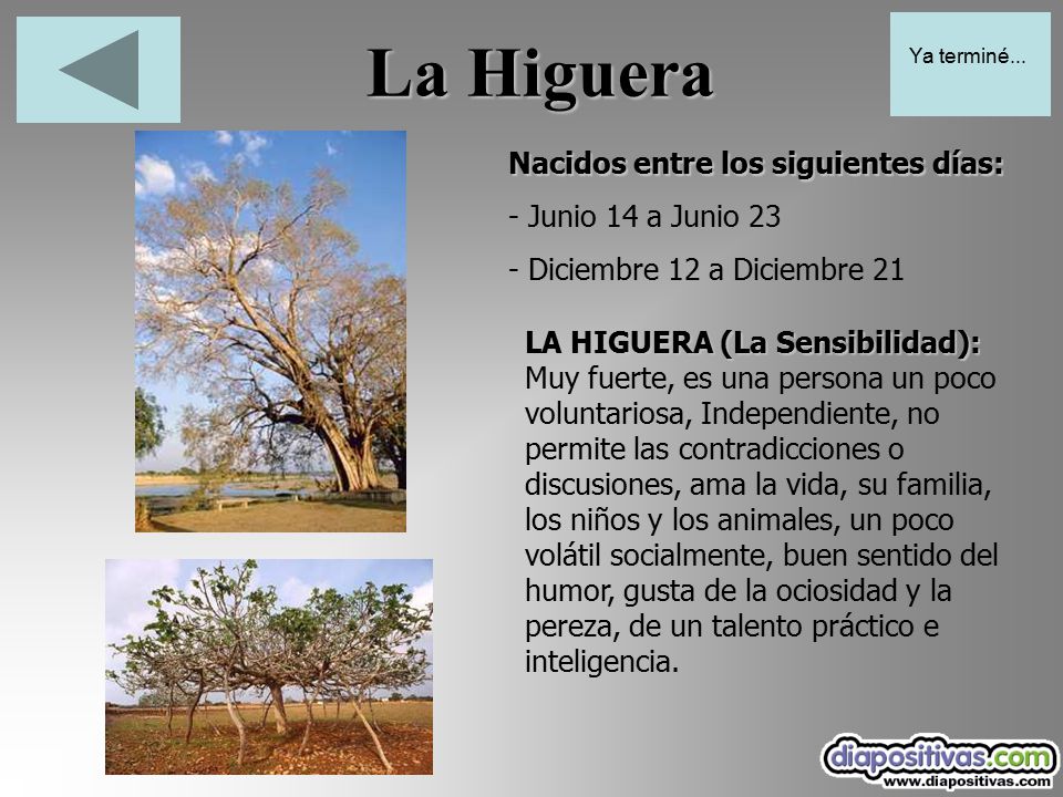 La Higuera Nacidos entre los siguientes días: - Junio 14 a Junio 23