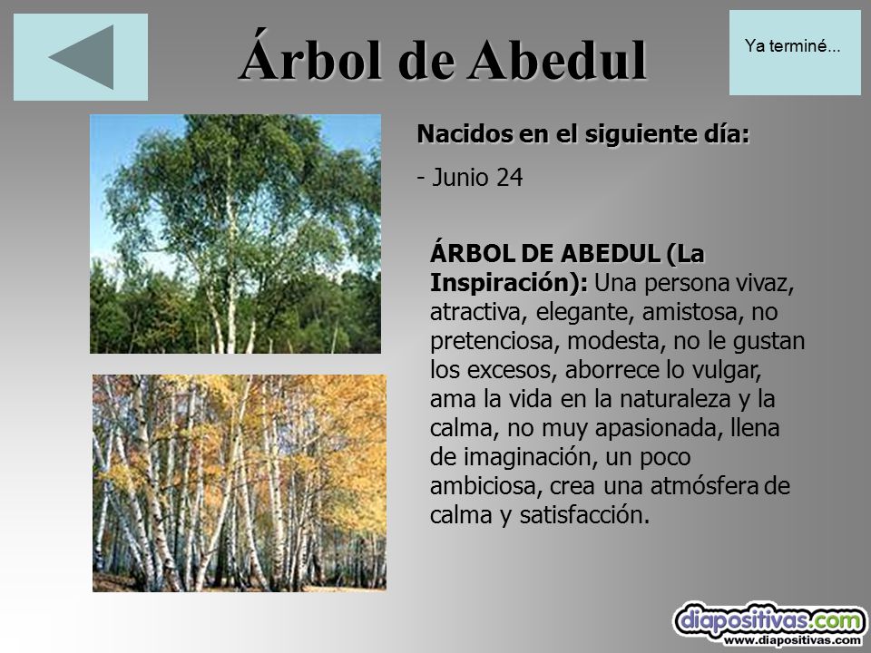 Árbol de Abedul Nacidos en el siguiente día: - Junio 24