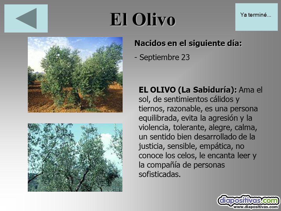 El Olivo Nacidos en el siguiente día: - Septiembre 23