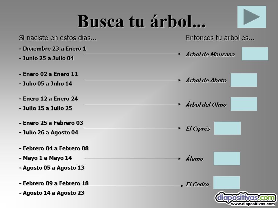 Busca tu árbol... Si naciste en estos días... Entonces tu árbol es...