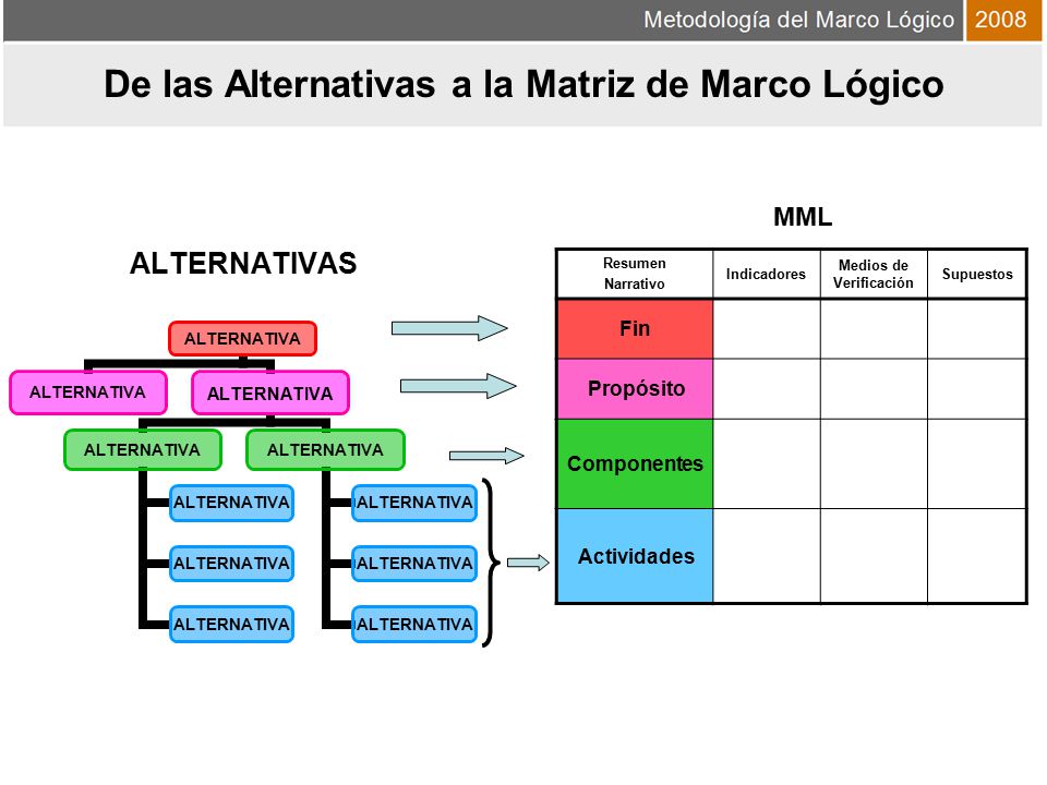 De las Alternativas a la Matriz de Marco Lógico Medios de Verificación