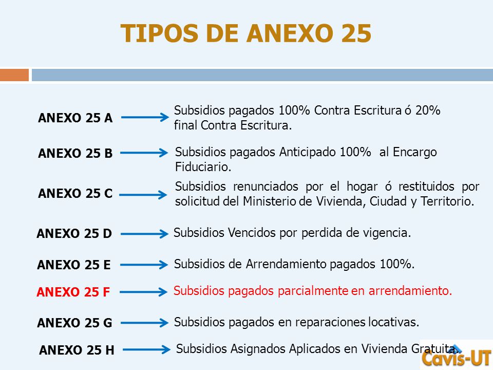 TIPOS DE ANEXO 25 Subsidios pagados 100% Contra Escritura ó 20% final Contra Escritura. ANEXO 25 A.