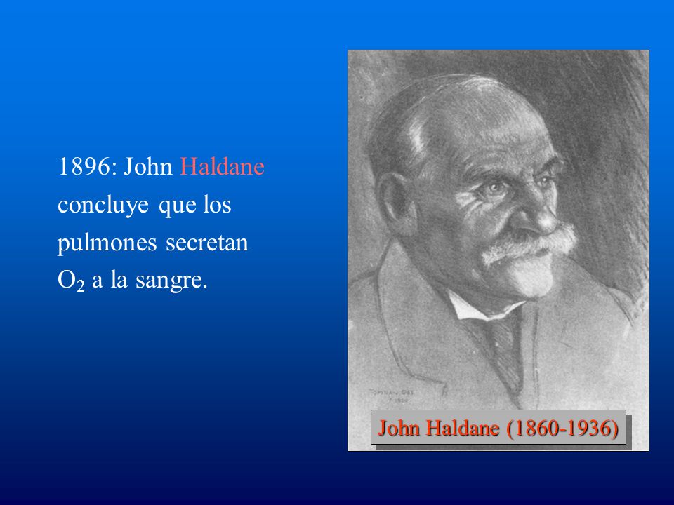 1896: John Haldane concluye que los pulmones secretan O2 a la sangre.