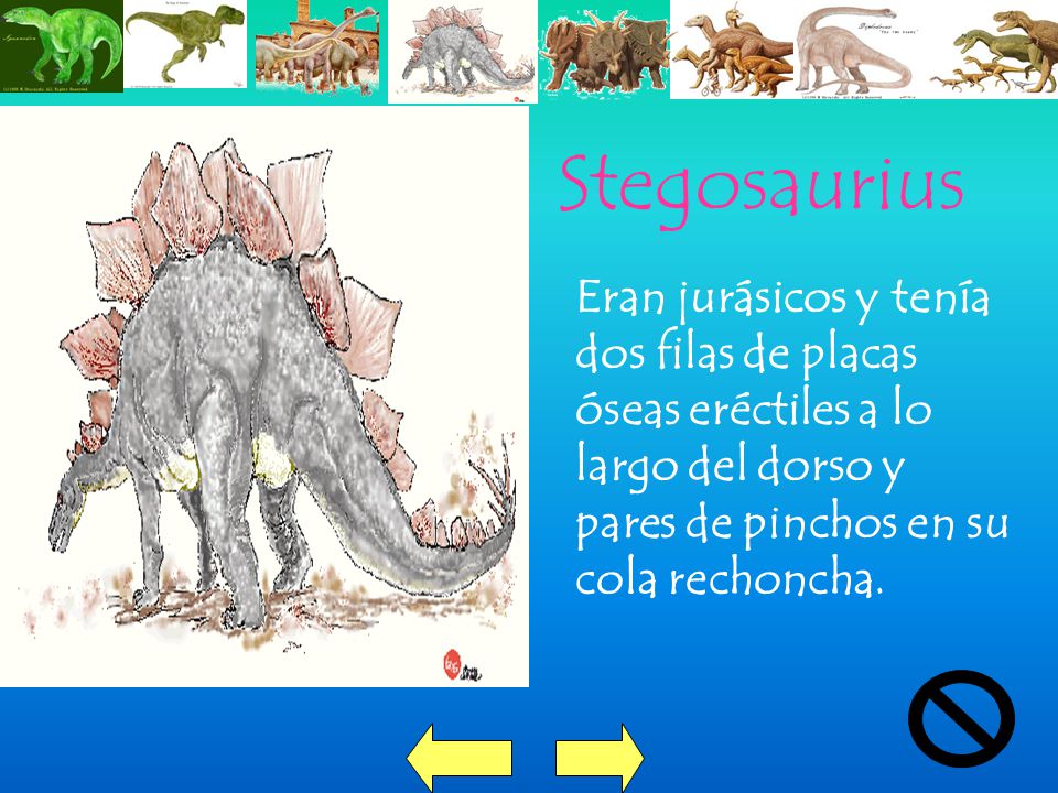 Stegosaurius Eran jurásicos y tenía dos filas de placas óseas eréctiles a lo largo del dorso y pares de pinchos en su cola rechoncha.