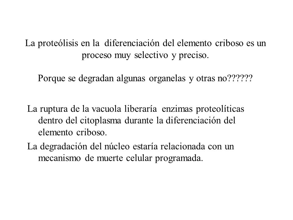 La proteólisis en la diferenciación del elemento criboso es un proceso muy selectivo y preciso. Porque se degradan algunas organelas y otras no