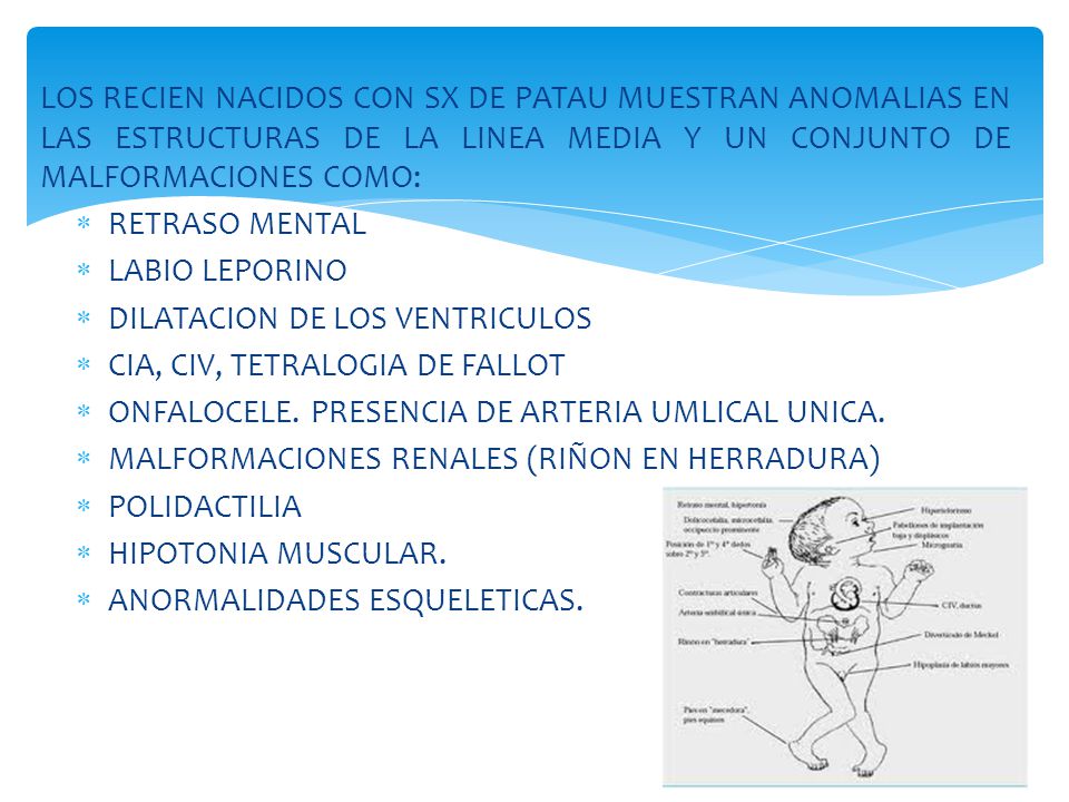 LOS RECIEN NACIDOS CON SX DE PATAU MUESTRAN ANOMALIAS EN LAS ESTRUCTURAS DE LA LINEA MEDIA Y UN CONJUNTO DE MALFORMACIONES COMO: