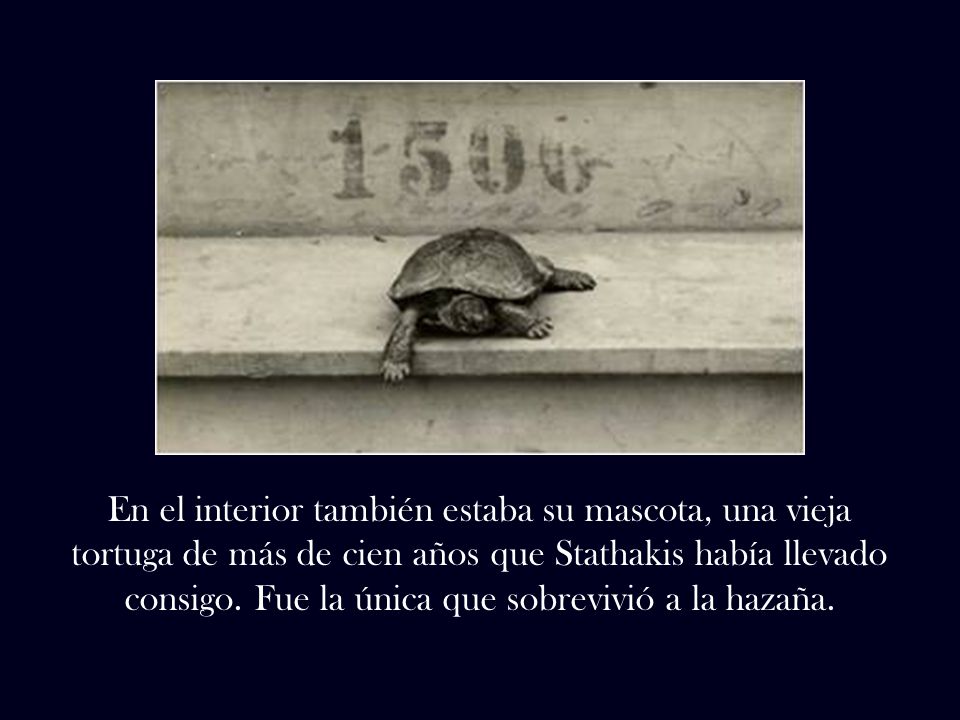 En el interior también estaba su mascota, una vieja tortuga de más de cien años que Stathakis había llevado consigo.