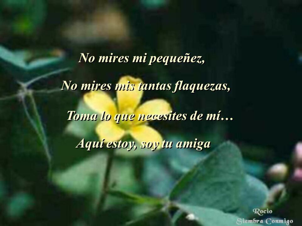 No mires mi pequeñez, No mires mis tantas flaquezas, Toma lo que necesites de mí… Aquí estoy, soy tu amiga.
