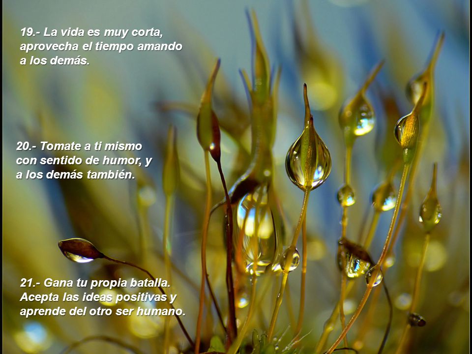 19.- La vida es muy corta, aprovecha el tiempo amando a los demás.