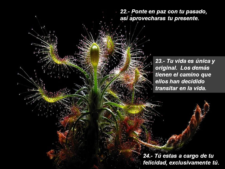 22.- Ponte en paz con tu pasado, así aprovecharas tu presente.