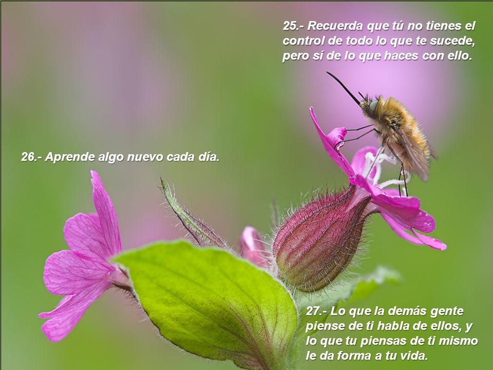 25.- Recuerda que tú no tienes el control de todo lo que te sucede, pero sí de lo que haces con ello.