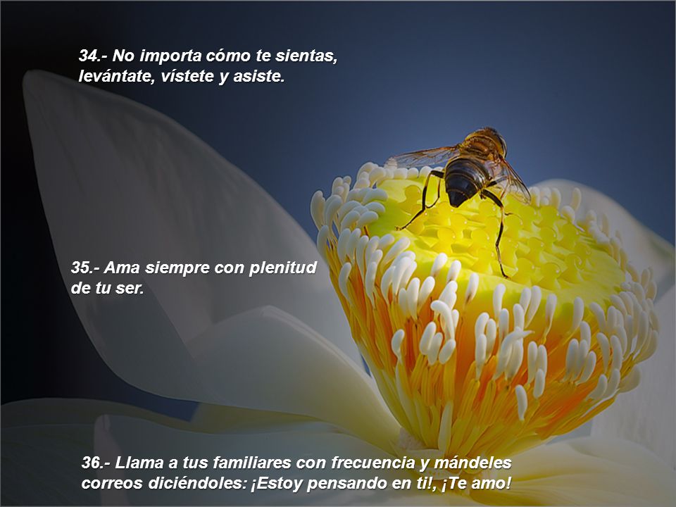 34.- No importa cómo te sientas, levántate, vístete y asiste.