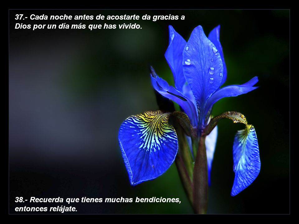 37.- Cada noche antes de acostarte da gracias a Dios por un día más que has vivido.