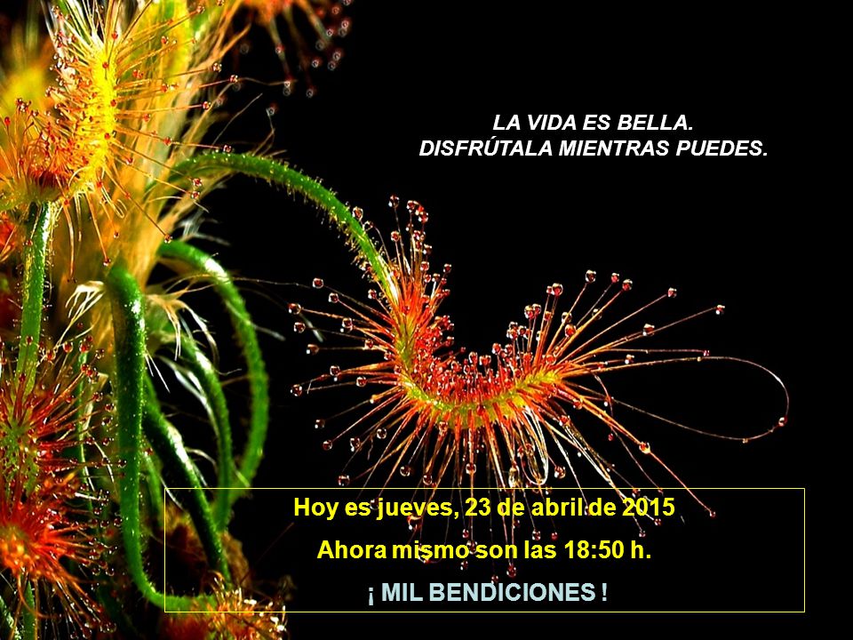DISFRÚTALA MIENTRAS PUEDES. Hoy es jueves, 13 de abril de 2017